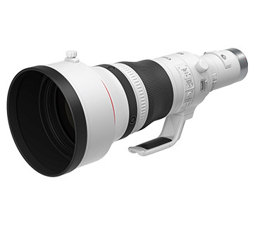 RF Lenses - RF800mm f/5.6L IS USM - Canon Singapore